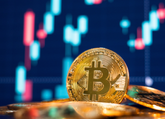 Price perspective of Bitcoin, Shiba Inu, Vechain