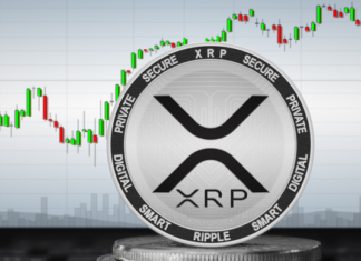XRP / USD settles above $1.30.
