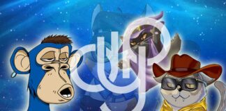 DYP Founder Purchases a BAYC NFT Ahead of the DYP PAW NFT Collection Launch