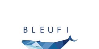 BleuFi – A ONE-STOP-SHOP FOR ALL DeFi NEEDS