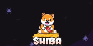 The ShibaLottery Is Gearing Up for Its Presale Event