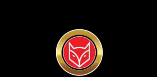 NowMeta is Looking to Carve Out its Own Path in the Metaverse