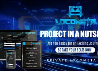 LocoMeta Introduces a Metaverse Game Centered around NFTs