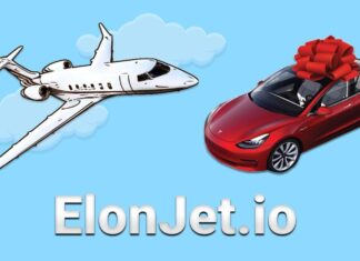 ElonJet Wants to Become the Meme Coin of 2022