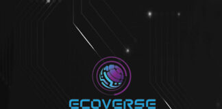 Ecoverse (EVS) Completes Successful KYC with PinkSale
