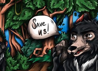 Tasmanian Devils NFT Announces Project Milestones and Plans to Save Devils