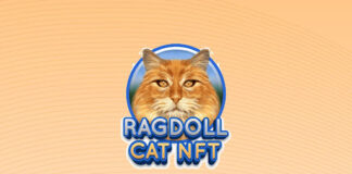 Ragdoll Cat NFT Marketplace is Coming Soon with a New Token