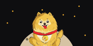 Rocky Inu ETH Bridge Coming Soon to the Market