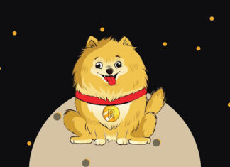 Rocky Inu ETH Bridge Coming Soon to the Market