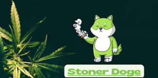 Stoner Doge Launches a Token to Help Cannabis-Related Charities