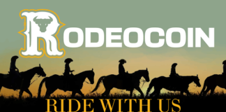 RodeoCoin Unveils Development Updates and Long-Term Plans