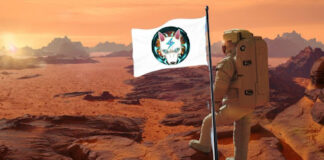 Volt Inu Updates Its Community with New Exciting Announcements