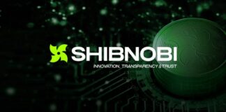 Shibnobi Builds On Its Gains, Announces Whitelist SweepWidget Contest For $Shinja Holders