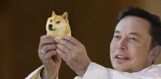 Dogecoin investors should not listen to Elon Musk anymore