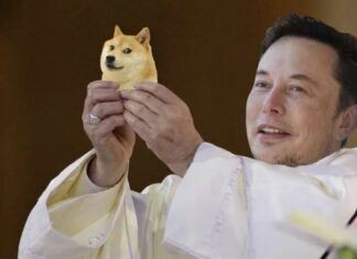 Dogecoin investors should not listen to Elon Musk anymore