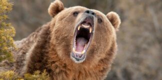 3 reasons why Bitcoin price could crash below $17.5K