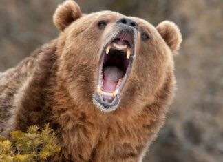 3 reasons why Bitcoin price could crash below $17.5K