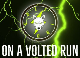 Volt Inu (VOLT) Listing on Gate.io While Their Marketing Strategy Continues to Grow