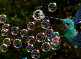 Metaverse bubble popping as mainstream, crypto firms report losses