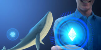 Ethereum whales add 3.5M ETH to their purse, Ether continues crabbing