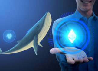 Ethereum whales add 3.5M ETH to their purse, Ether continues crabbing