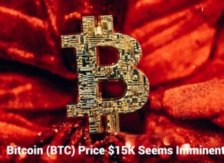 Bitcoin (BTC) Price Just Reversed and $15K Seems Imminent