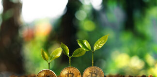 Can Bitcoin (BTC) Lead the Crypto Market Down the Road To Recovery?