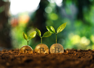 Can Bitcoin (BTC) Lead the Crypto Market Down the Road To Recovery?