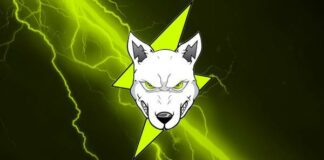 Voltichange Ready to Enhance the Volt Inu Universe