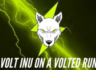 Voltichange Ready to Enhance the Volt Inu Universe