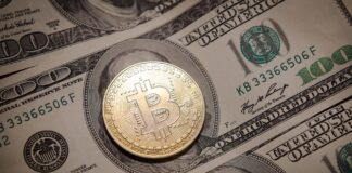 Peter Schiff Indicator is back — is the Bitcoin (BTC) bottom here?