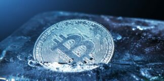 Bitcoin Price Eyes Crash Toward $15K in Early 2023