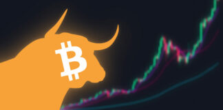 Most Became First-Time Crypto Users During Bull Runs — Poll
