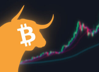 Most Became First-Time Crypto Users During Bull Runs — Poll
