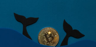 Bitcoin Price Breakout Above $25K Looks Unlikely amid Abysmal Whales and Sharks Interest