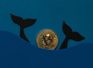 Bitcoin Price Breakout Above $25K Looks Unlikely amid Abysmal Whales and Sharks Interest