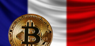 Why is Bitcoin Trending Amid Violent Protests in France?