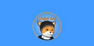 Wojak Inu Challenges Pepe with Locked LP and Renounced Contract