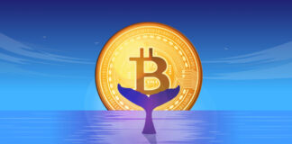 Bitcoin Whales Under Pressure As BTC Price Sinks Below $30K