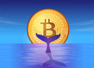 Bitcoin Whales Under Pressure As BTC Price Sinks Below $30K