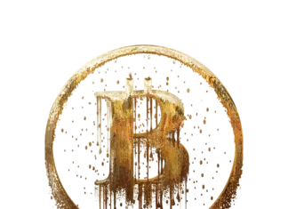 Bitcoin Price Could Reach $125K By 2024 End, Says Report