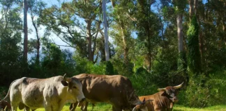 3 Bitcoin On-Chain Indicators Predicting BTC Price Bullish Reversal