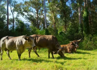 3 Bitcoin On-Chain Indicators Predicting BTC Price Bullish Reversal