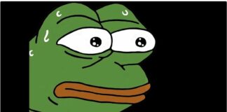 Pepecoin Founder Claims Rogue Members Stole PEPE Tokens, But Was It An Elaborate Rugpull?