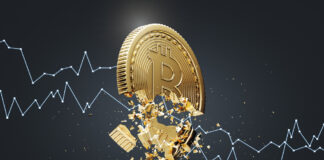 Bitcoin Price Hits 2-Month Low Amid Elon Musk’s BTC Dump FUD — A Reason to Worry?