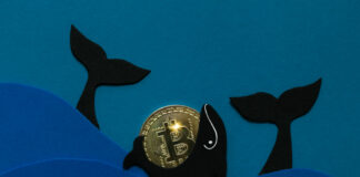 Bitcoin and Tether Whales Enter Accumulation Mode — Big BTC Price Rally Coming?