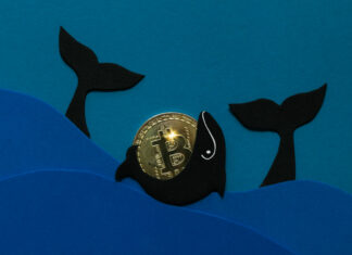 Bitcoin and Tether Whales Enter Accumulation Mode — Big BTC Price Rally Coming?