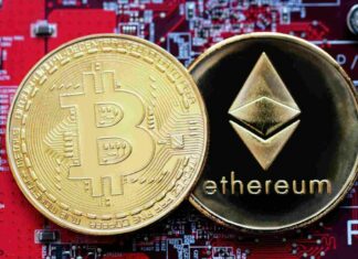 Whales Snub Ethereum: Bitcoin’s the Catch of the Crypto Sea