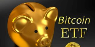 Bitcoin ETFs Won’t Attract Institutional Investors — Gold Expert Claims