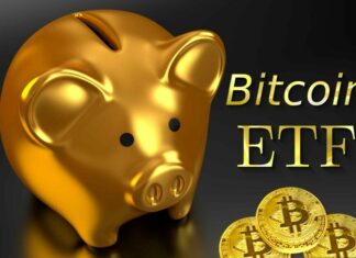 Bitcoin ETFs Won’t Attract Institutional Investors — Gold Expert Claims